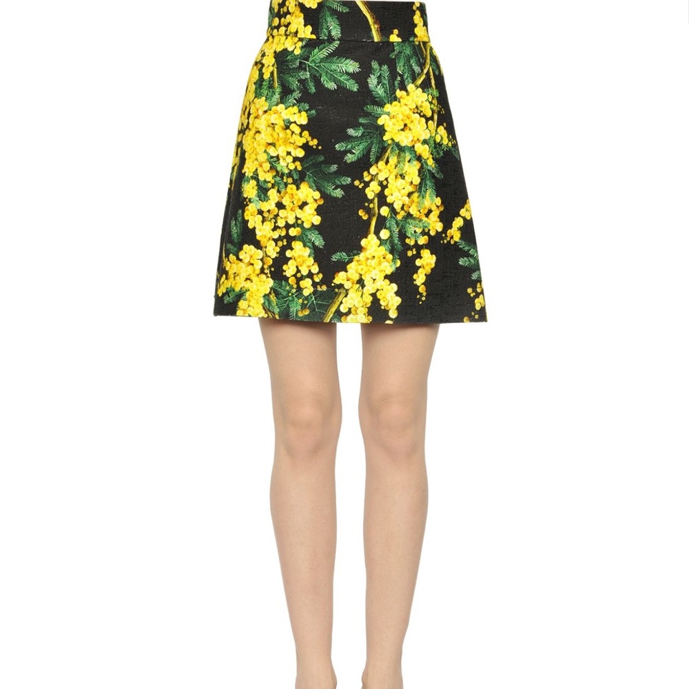 XSOLDX  Dolce & Gabbana mimosa A-line skirt